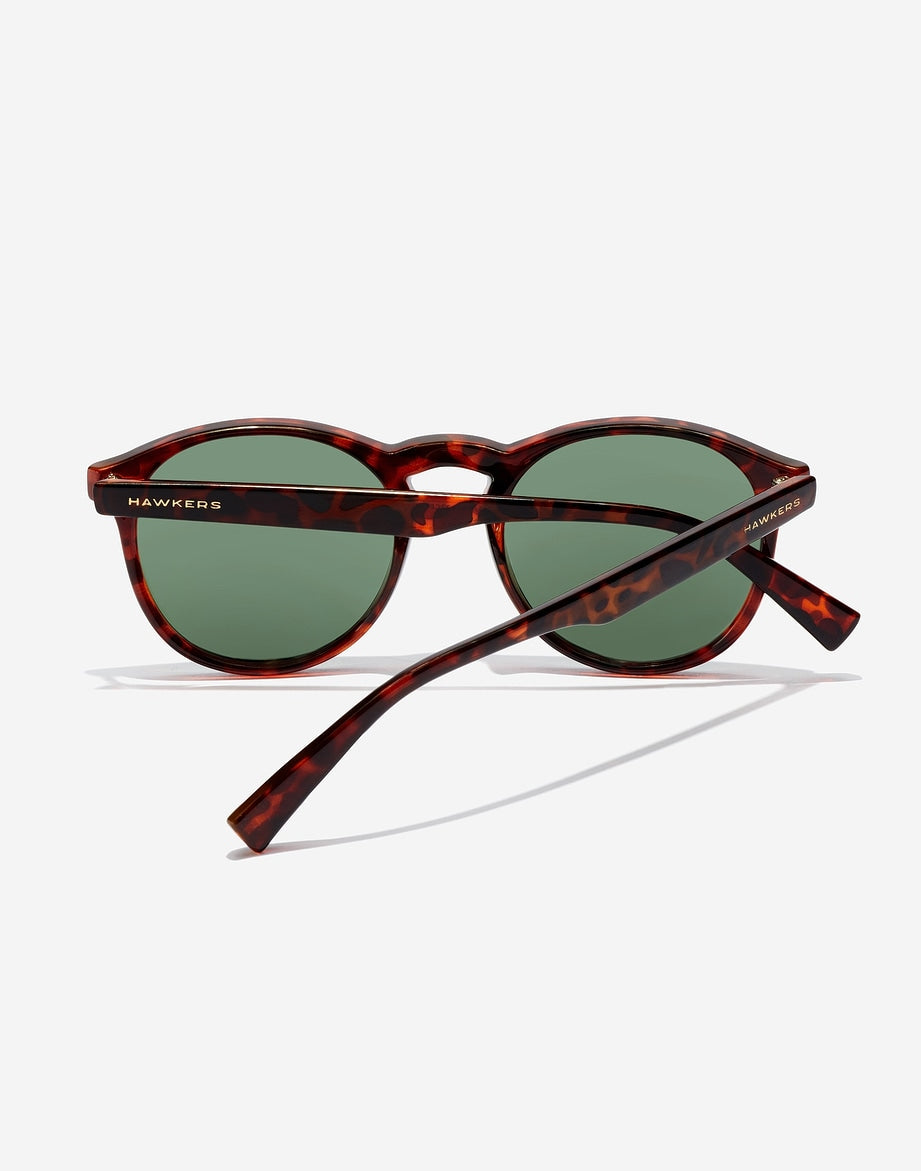 Lentes Bel Air - Polarized Carey Green